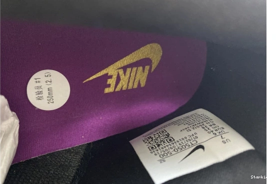 Nike Viotech (2019) Dunk Low CT5050-500 0710